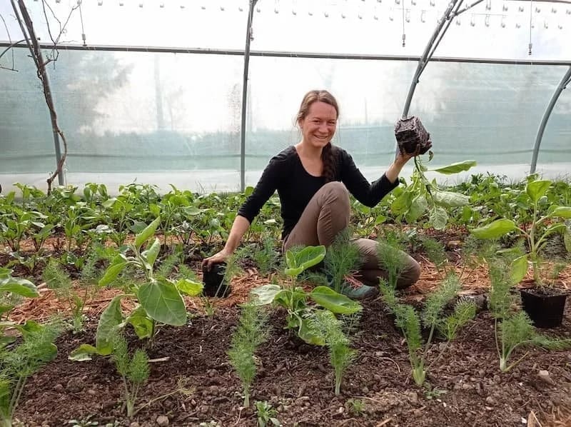 Formation microferme en présentiel aux Jardins de la Valette