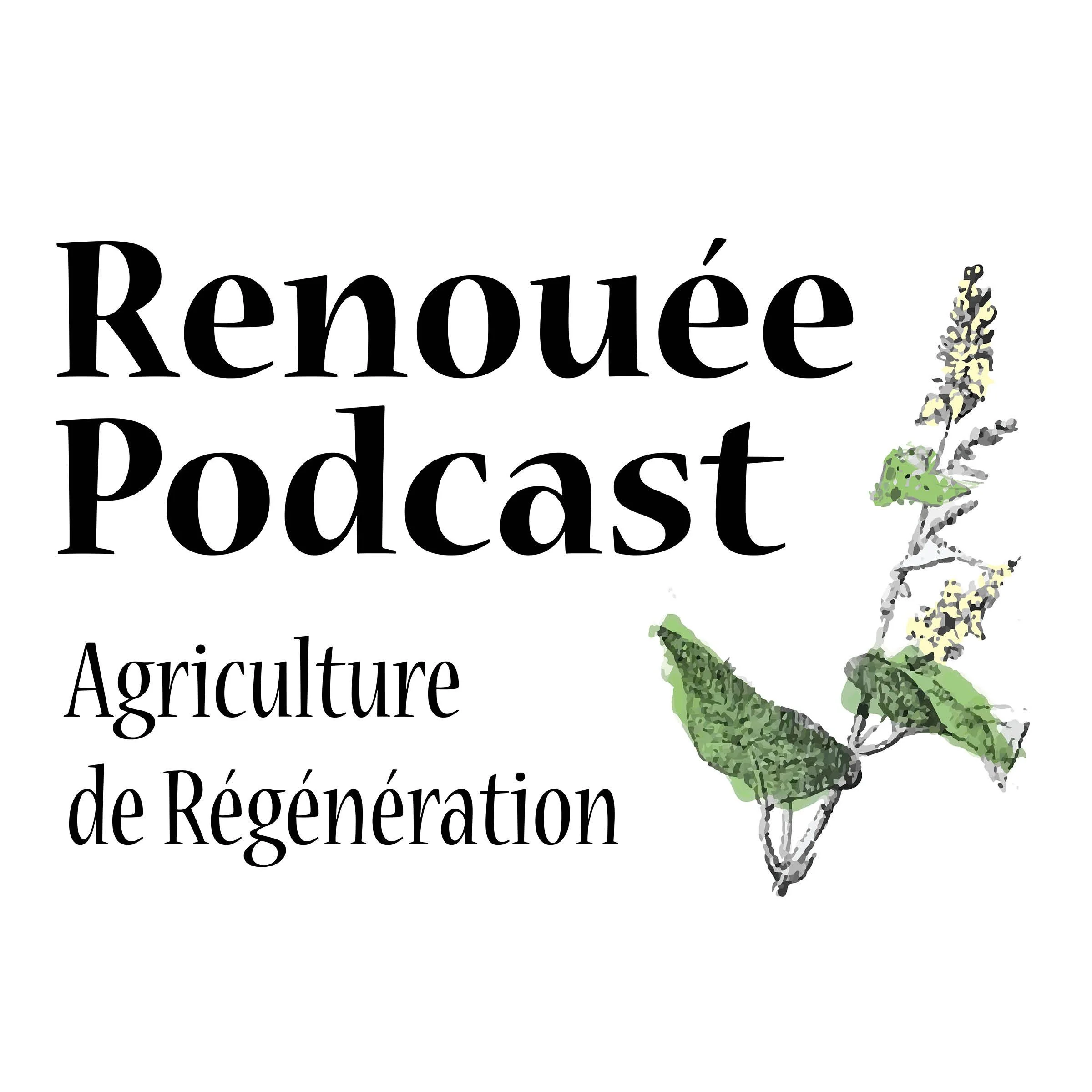 Podcast Renoué - Bio-intensif : la rentabilité d'une microferme